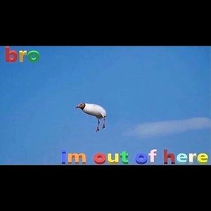 Meet your Posher, Dan